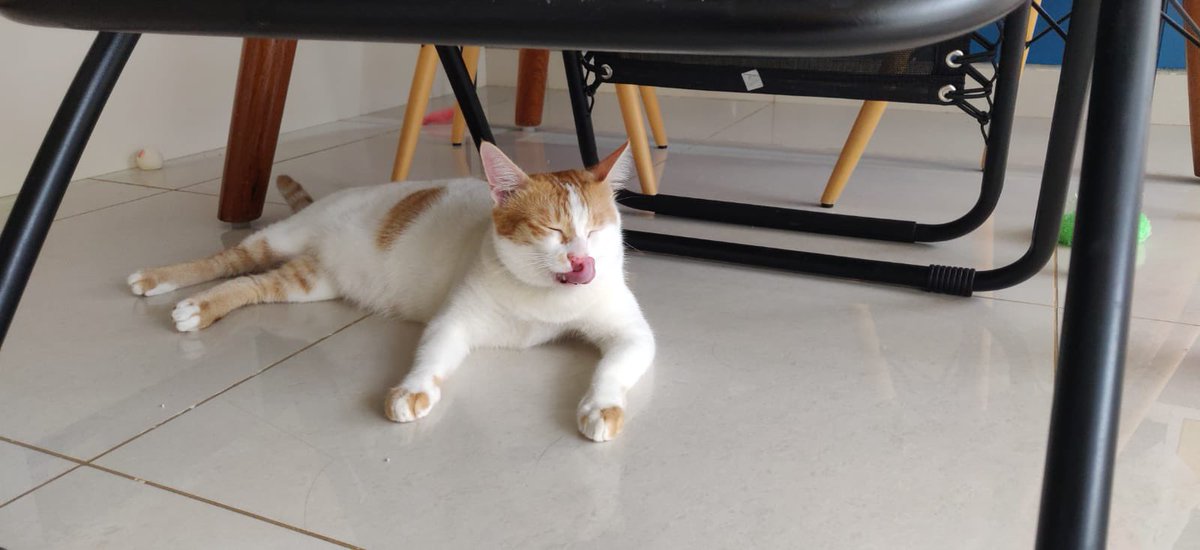 NiveditaAngadi's tweet photo. Relaxing weekend! https://t.co/0eiQ71tZbp