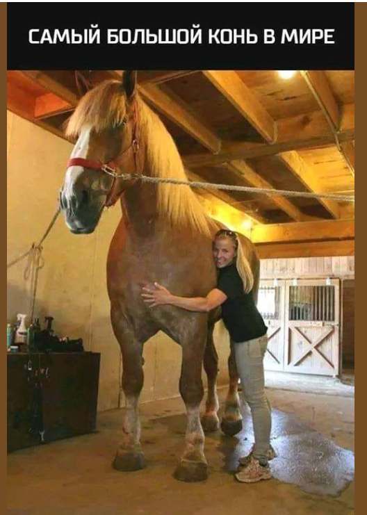 Александр Горбачёв (@gakgorbash0705) on Twitter photo 