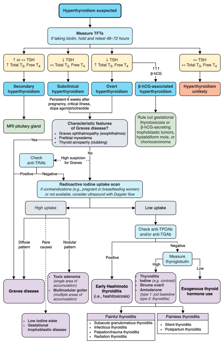 Approach to diagnosis of hyperthyroidism; modified from <a href="/ambossmed/">AMBOSS</a>
