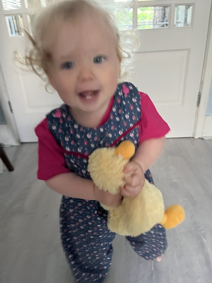 Baby O putting on a fashion show demonstrating dungarees from the exclusive House of Grandma (<a href="/francesbell/">Frances Bell @francesbell@mastodon.social</a> )with the must-have accessory for every 1 year old of a cuddly duck #madewithlove #birthdaydungarees