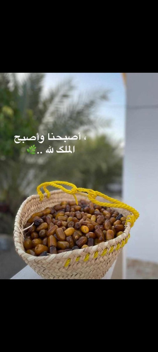 ما أعتقد في أفضل من رطب الجدمي؟؟بالنسبة لي 👌👌
#صباح_الخيرᅠ