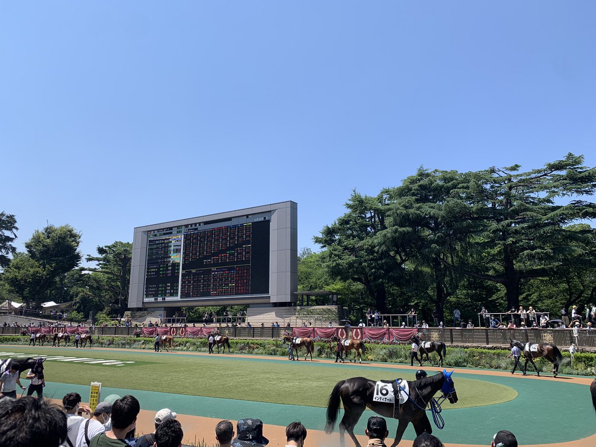 mst_148's tweet image. 競馬場デビュー🏇