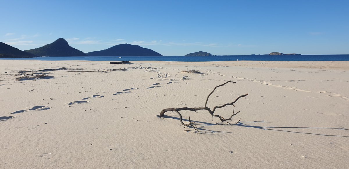 Fingal Beach, Nelson Bay