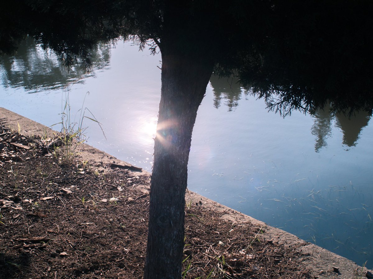 Light #PhotoOfTheDay #fujifilm #xpro2