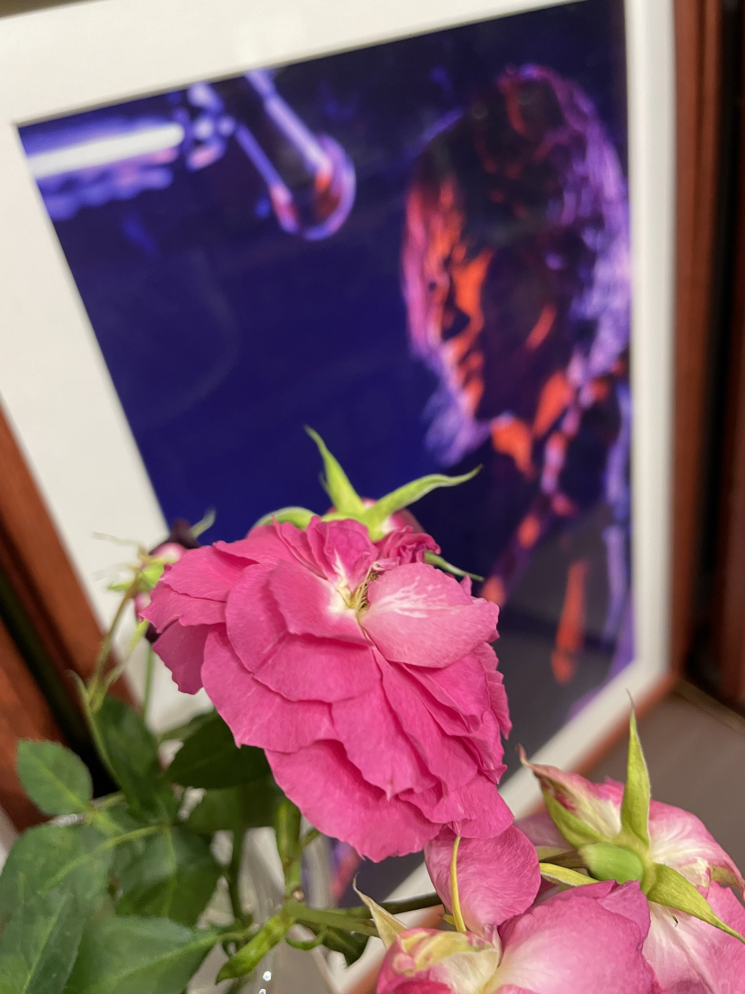 3design 薔薇とyt T Co It91orxwuu Twitter