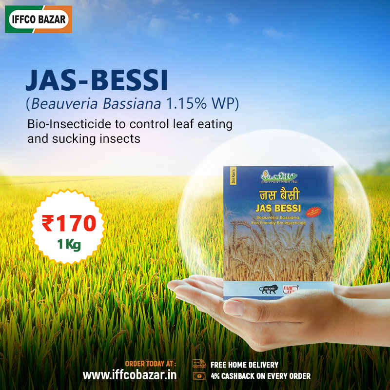 IFFCOBAZAR's tweet photo. Jas-Bessi (Beauveria Bassiana 1.15% WP) is a #BioInsecticide that is effective in termite control & also controls insects like caterpillars, armyworm, diamondback moth, whitefly, aphids, jassids, etc.
🛒https://t.co/5831VtUOEA
18001031967, 9311908908
#IFFCOBAZAR #4PercentCashback https://t.co/DycnkzbvhO