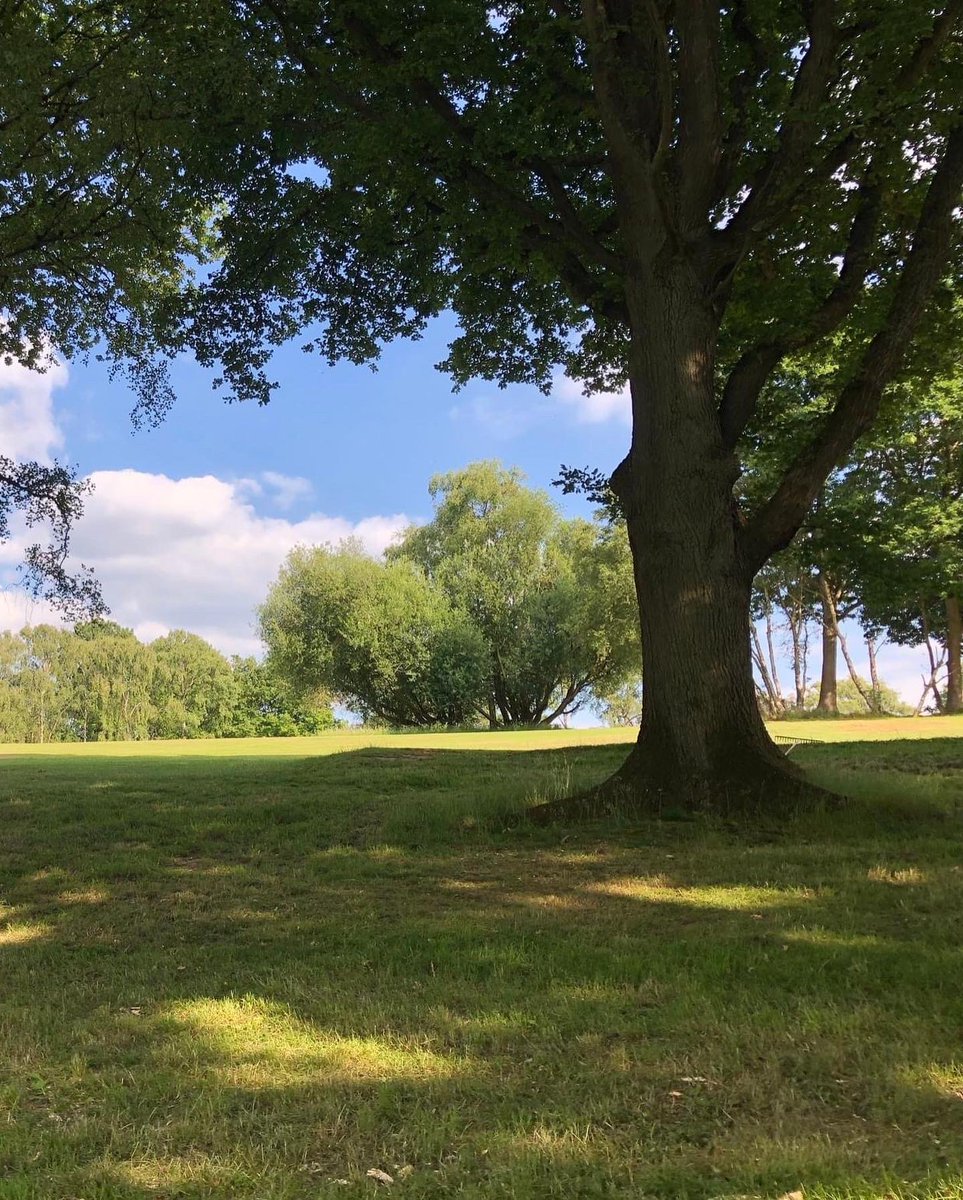 pitcheroak's tweet photo. Sun is shining great day for a round of golf 

Photo credit @ClubRedditch https://t.co/0imYDSQXnK