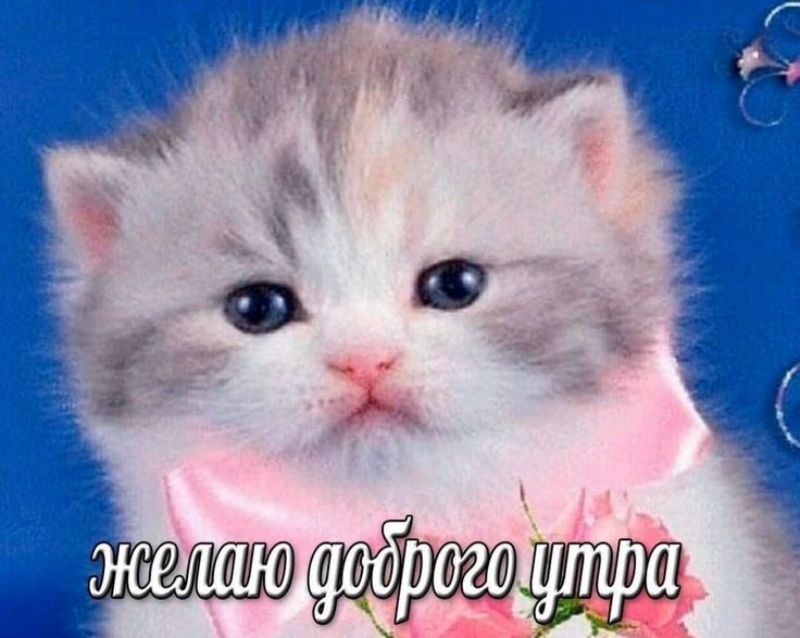 доброе утро!
проснулась ужасно рано как для себя, але с днём прайда! уже скоро будем выезжать