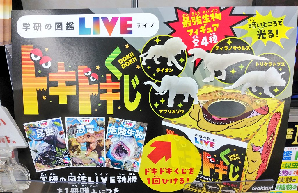 フタバ図書tsutaya海田店 店舗official Futabatosho Kai Twitter フタバ図書tsutaya海田店 店舗official Futabatosho Kai Twitter