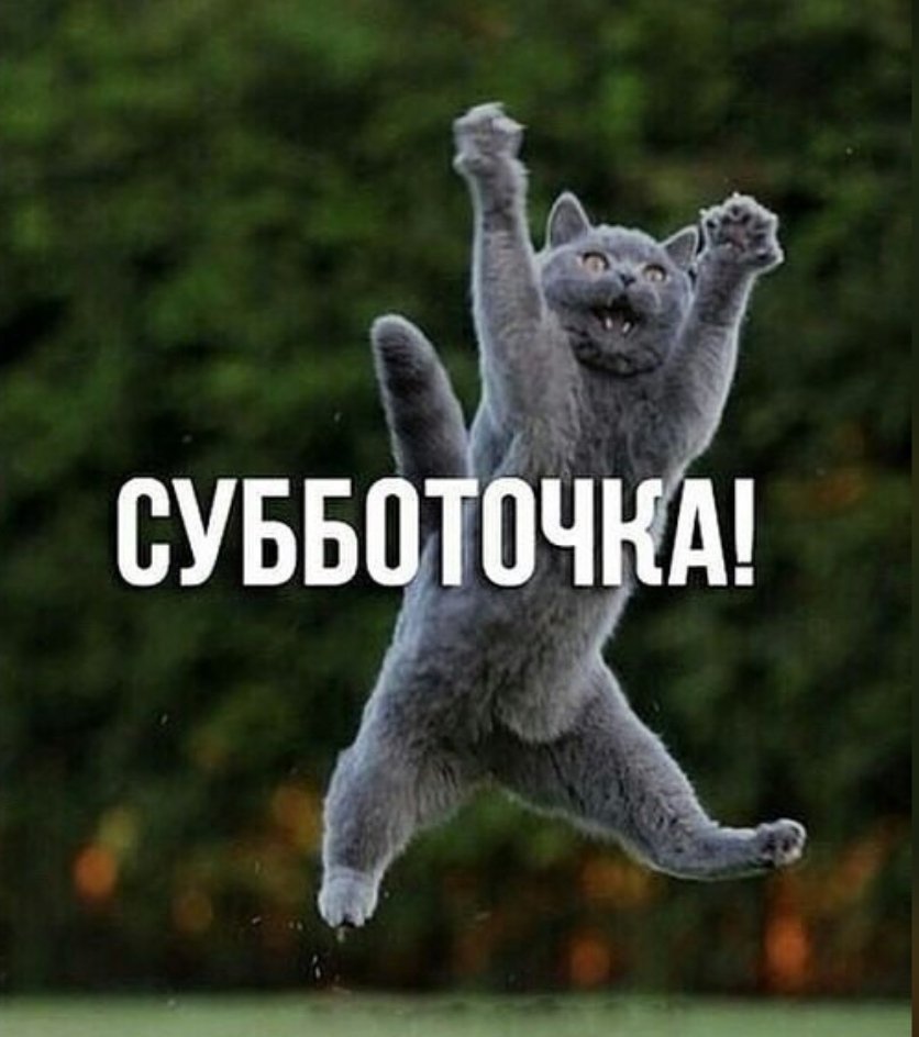 Открытки с субботой прикольные