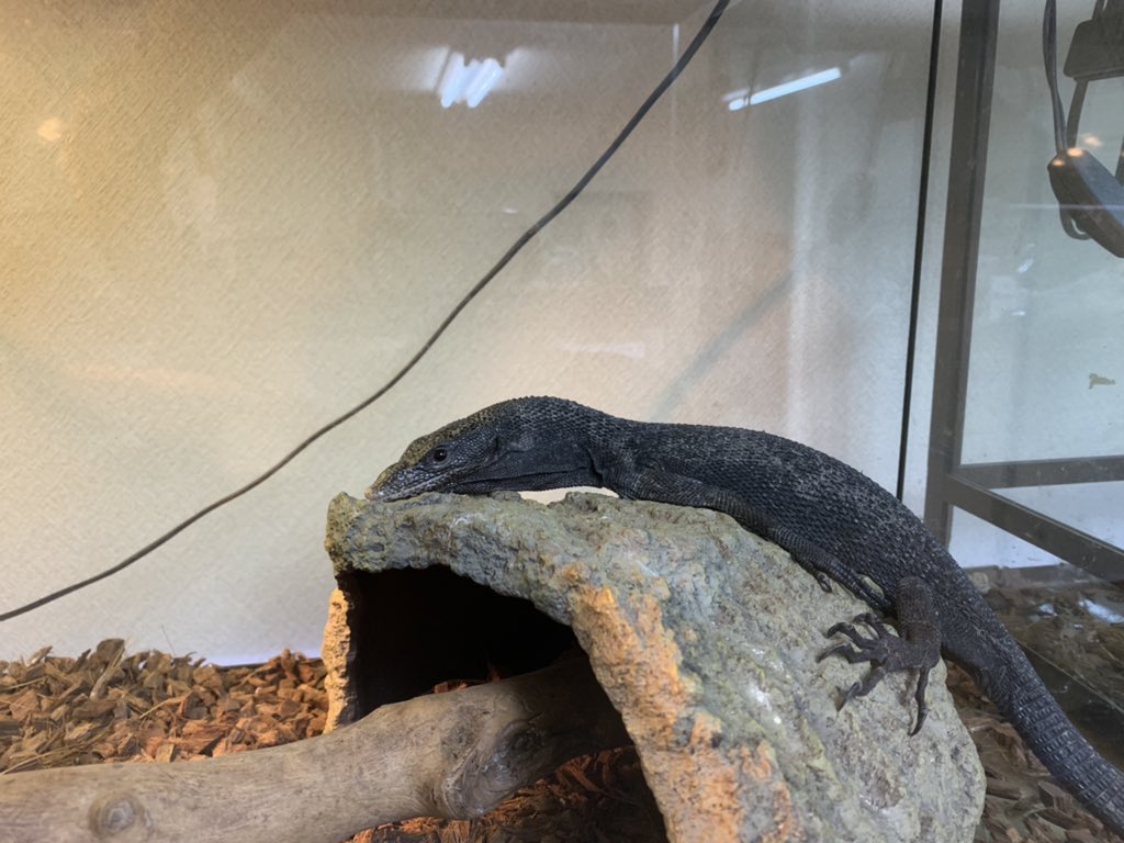 クロォズ！
本日も一日ありがとうございました🫡

明日もよろしくお願い致します🙇‍♂️🙏