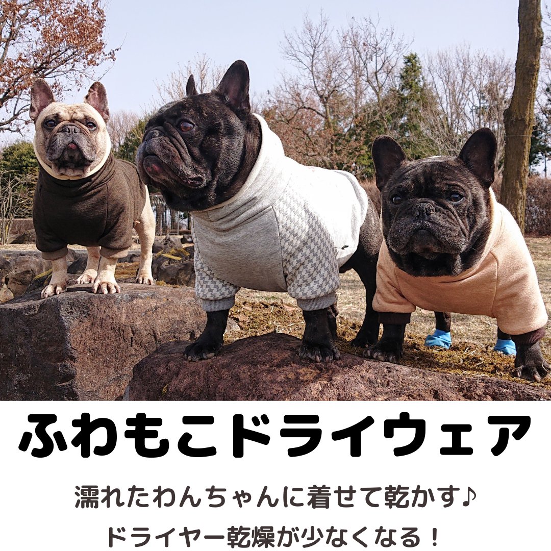 犬服の店 伝七商店 でんしちしょうてん フレブル服の伝七商店です お風呂の後や 泳いだ後に着せて 濡れたわんちゃんを乾かすドライウェア ふわもこドライウェア 伝七商店のウェブサイトでご予約受付中 T Co Jogjay9tau 犬服の店 伝七商店