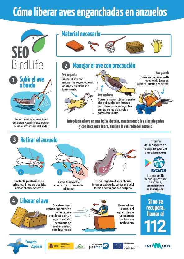 👇En esta lámina se detallan los pasos a seguir en caso de encontrar un ave marina enganchada a un anzuelo de pesca.⛴
ℹ️ seo.org/2022/06/24/por…
🐟#DíadelaGentedelMar
#Bycatch #Zepamar #OceanAlert