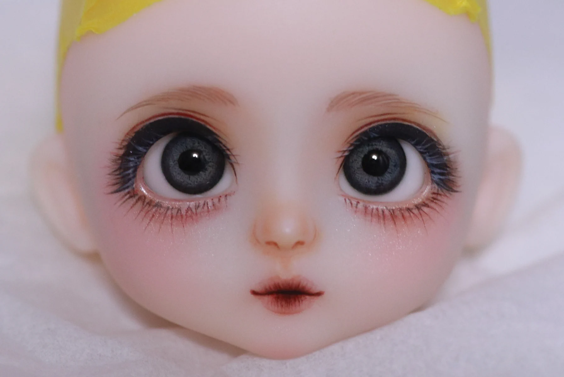 金魚†GoldFish on X: 