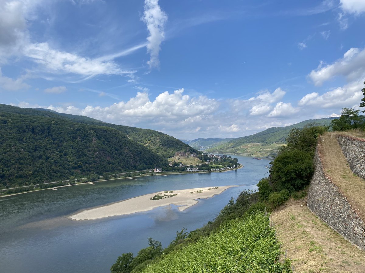 FXDIRK's tweet image. standard tour😎🙂🚴🏻‍♂️💨💨💨 #cycling #cyclinglife #ittheweekend #germany #rheingau #fxdirk