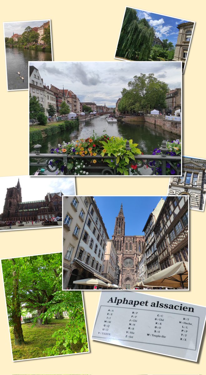 Eléa de Robert tweet media