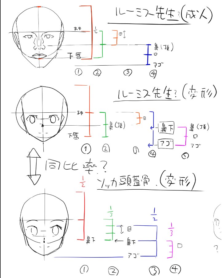 顔の作図法について
ルーミス先生の作図はサイドをカットした球体に顎をくっつけてるイメージ。(でいいのかな?)
ところでリンゴ食べてるワドルディってかわいいよね(唐突)

ソッカ先生の頭蓋骨の作図法は顎の自由度が高くてケモナーとかクリーチャー好きにも愛されてそうなイメージがある。 