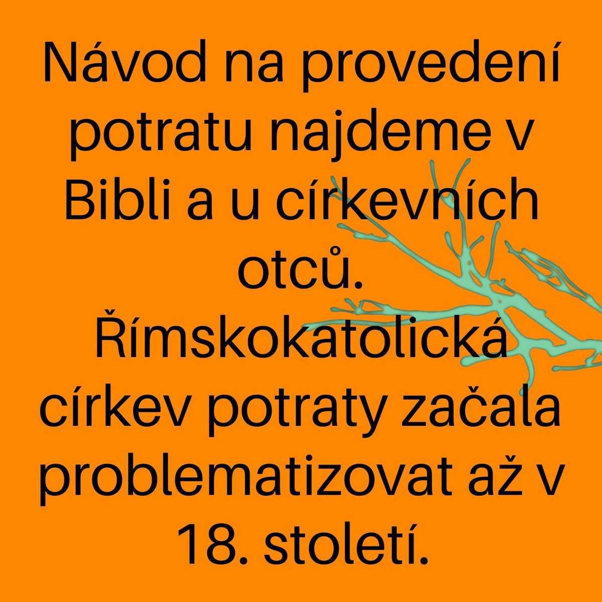 Magdalena Šipka tweet media