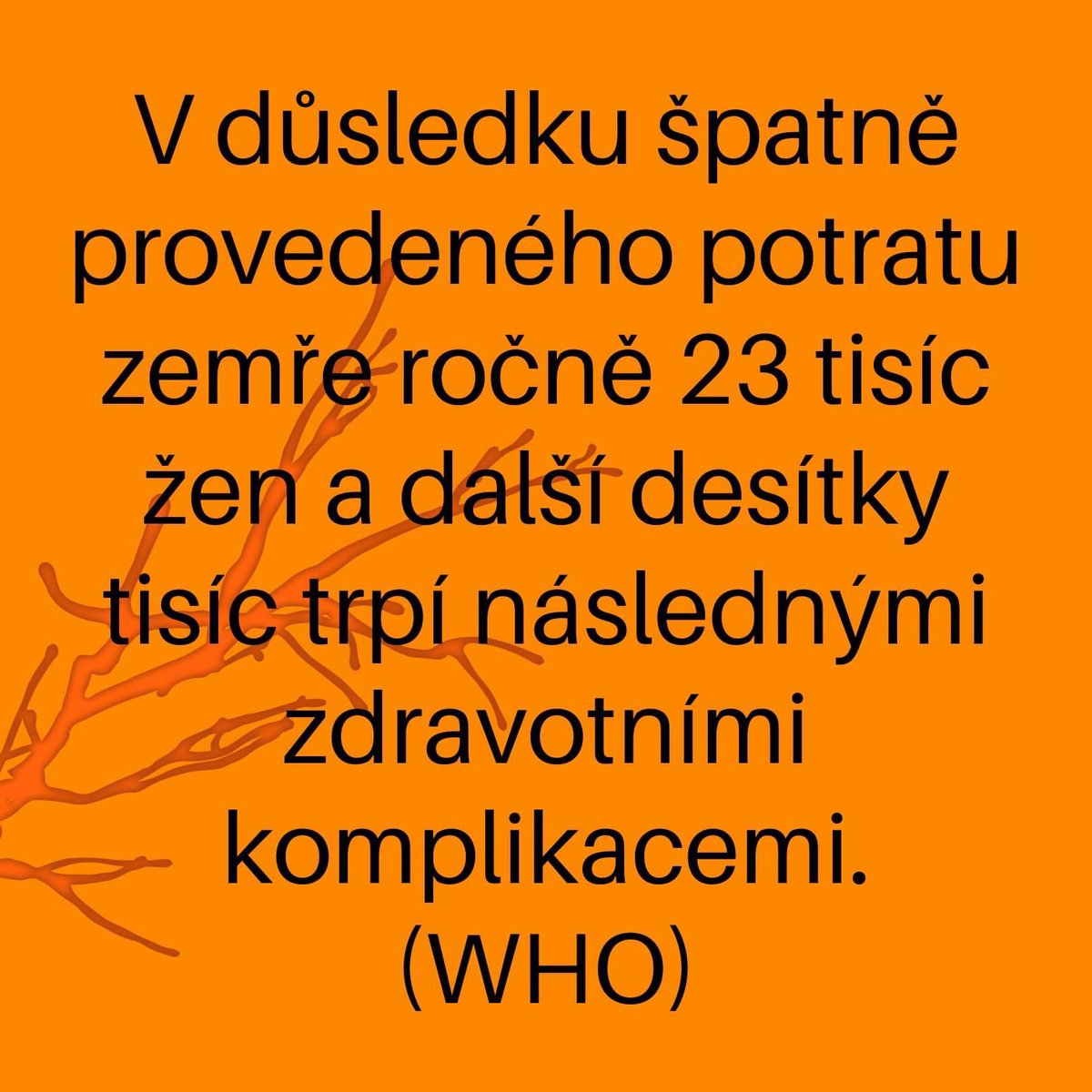 Magdalena Šipka tweet media