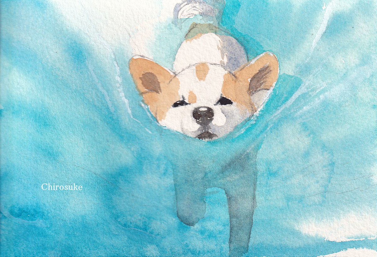 water leaf painting (medium) animal dog watercolor (medium) animal focus  illustration images