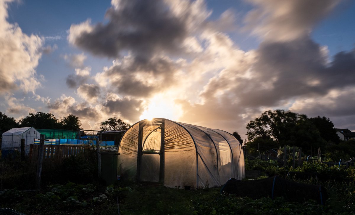 I was surprised there was no one working on the allotments this morning, but then hey, it was only 5.15am.