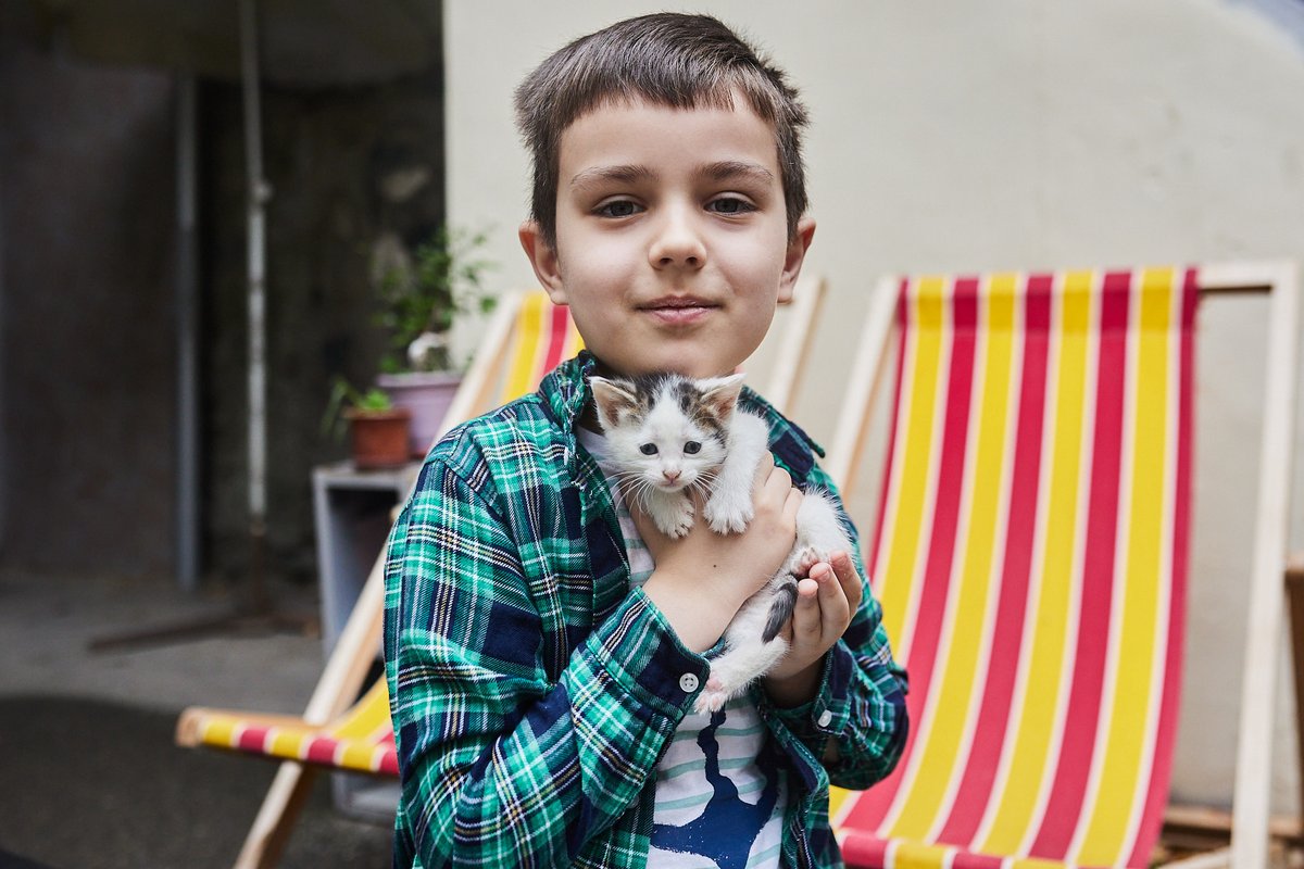 voruy_ubivay's tweet photo. Тбилиси! есть 4 совершенно не ничтожных котенка (два мальчика и две девочки), они живут на чердаке, но очень хотят чтобы вы их забрали 🥺🥺🥺🤗🤗🤗 https://t.co/01sCyJMars