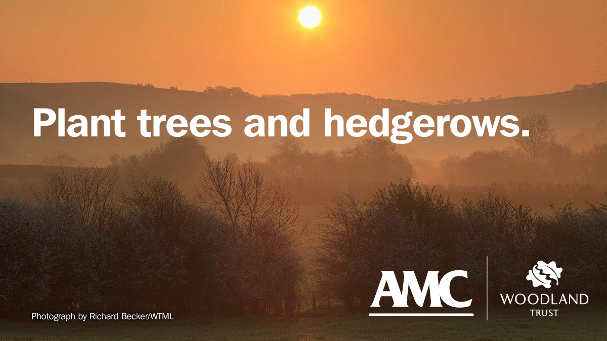 agrimortgageco's tweet photo. Do you have more than half a hectare of land, suitable for planting trees or hedgerows? The MOREwoods or MOREhedges scheme in partnership with the @WoodlandTrust could be right for you. #financingagreenfuture
https://t.co/LIrLH6c7uI https://t.co/oxP95mbETI