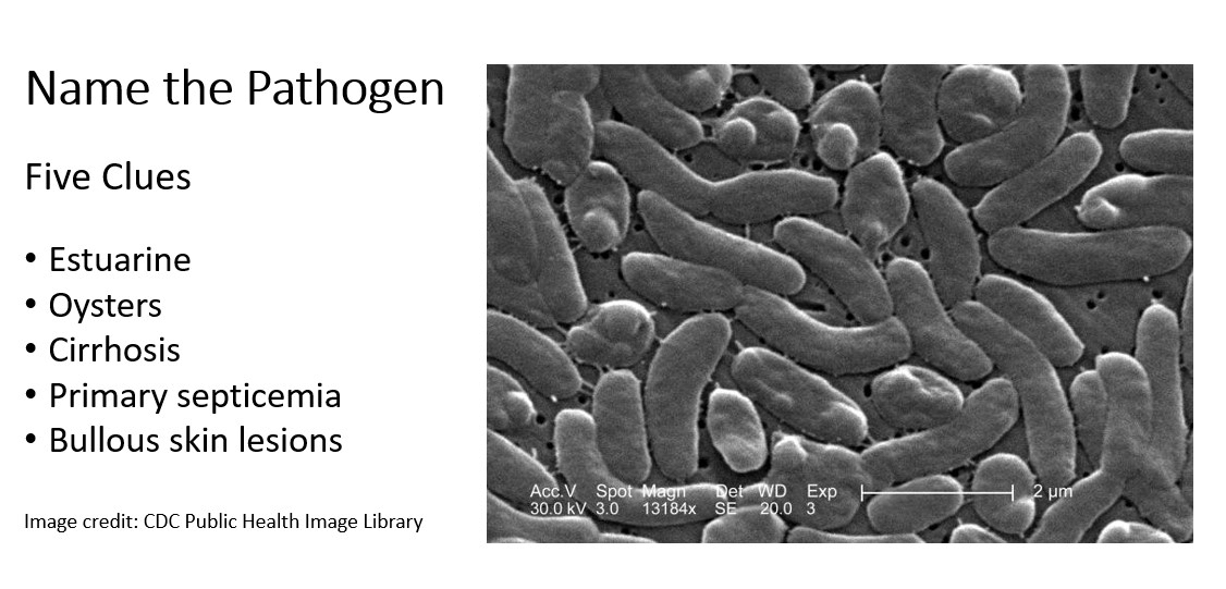 Mayo Clinic Infectious Diseases tweet media
