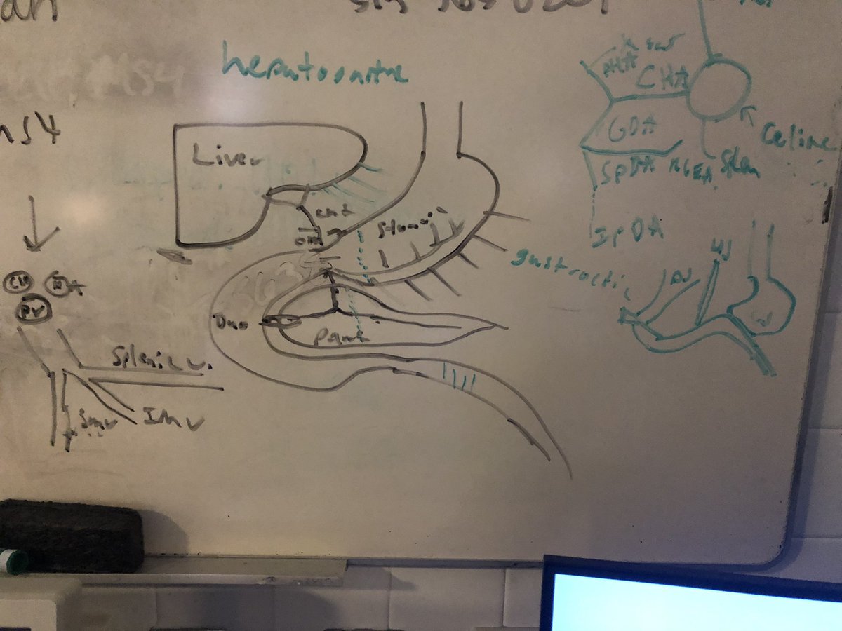 Antonio Raphael Malkoun tweet media