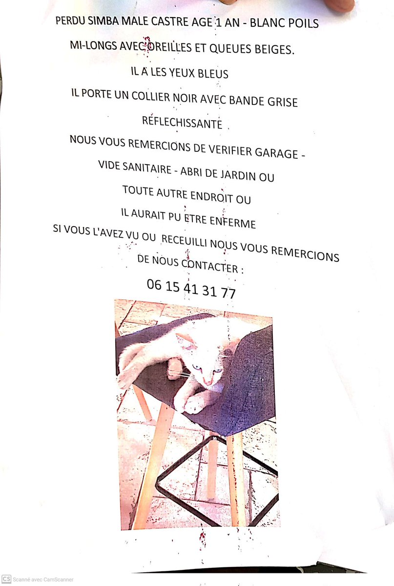 amourcalinou's tweet photo. Poti collègue ki sé perdu sur #martigues quartier #boudème #13 #perdu #perduchat @bouchesdurhone 
Si on peut aider cé taupe !!! https://t.co/Fk58LbYLzZ