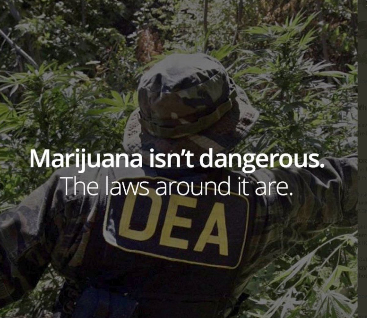 CannaWorld4's tweet photo. https://t.co/g8yV8bvZ7v