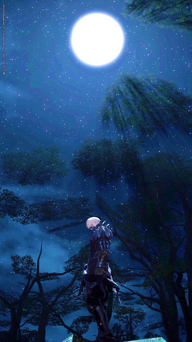 Mami_Rim_'s tweet photo. Moon🌕

#FF14風景 #ミドオス https://t.co/Gy8RFh5F9E