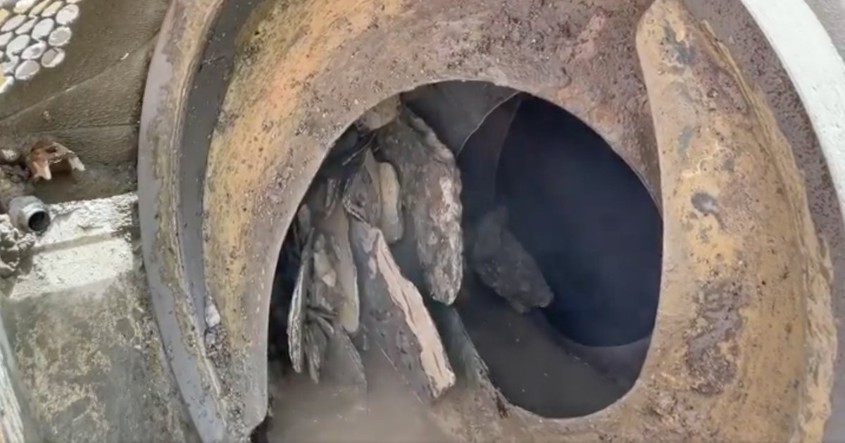 Readyjet Services tweet media