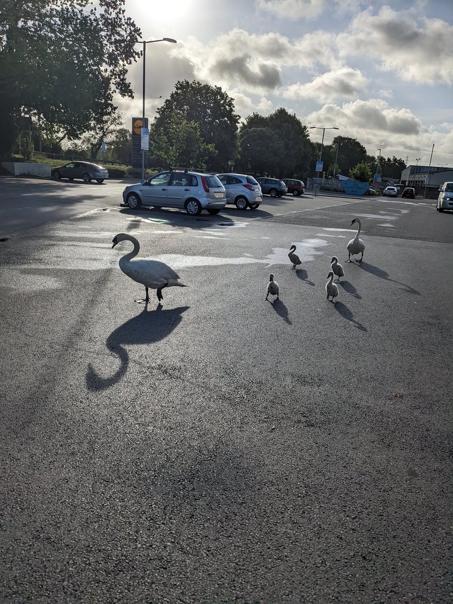 It's #SaturdayMorning  so time to take the family to <a href="/LidlGB/">@LidlGB</a>  #Poole