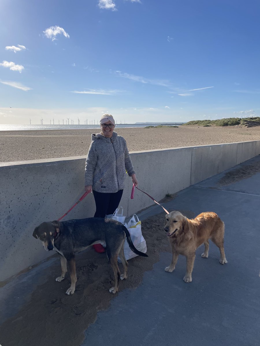 ShonetteBason's tweet photo. Love an early morning beach collection! Them sand dunes parties looked wild! Need to stop up a bit later 😂😂 #bigbeachcleanup https://t.co/UPSbwszeJp