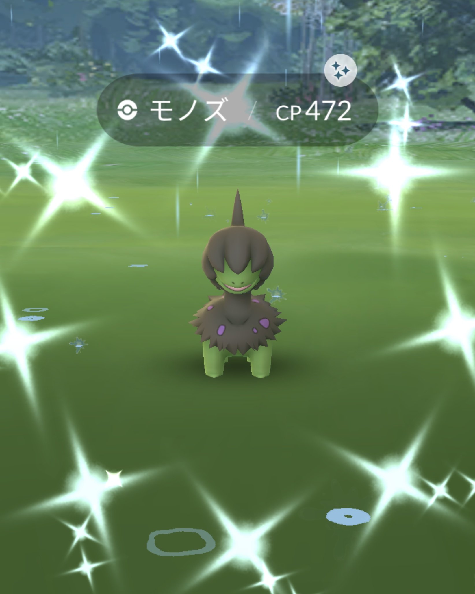 エル ポケモン垢 低浮上 Kao Iropoke Twitter