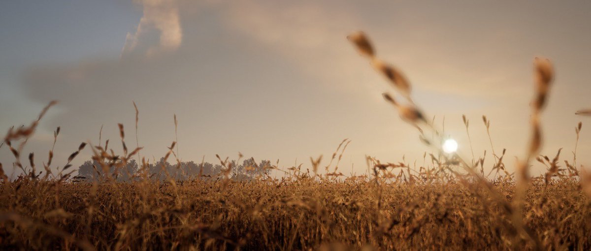 ChainReality® tweet media