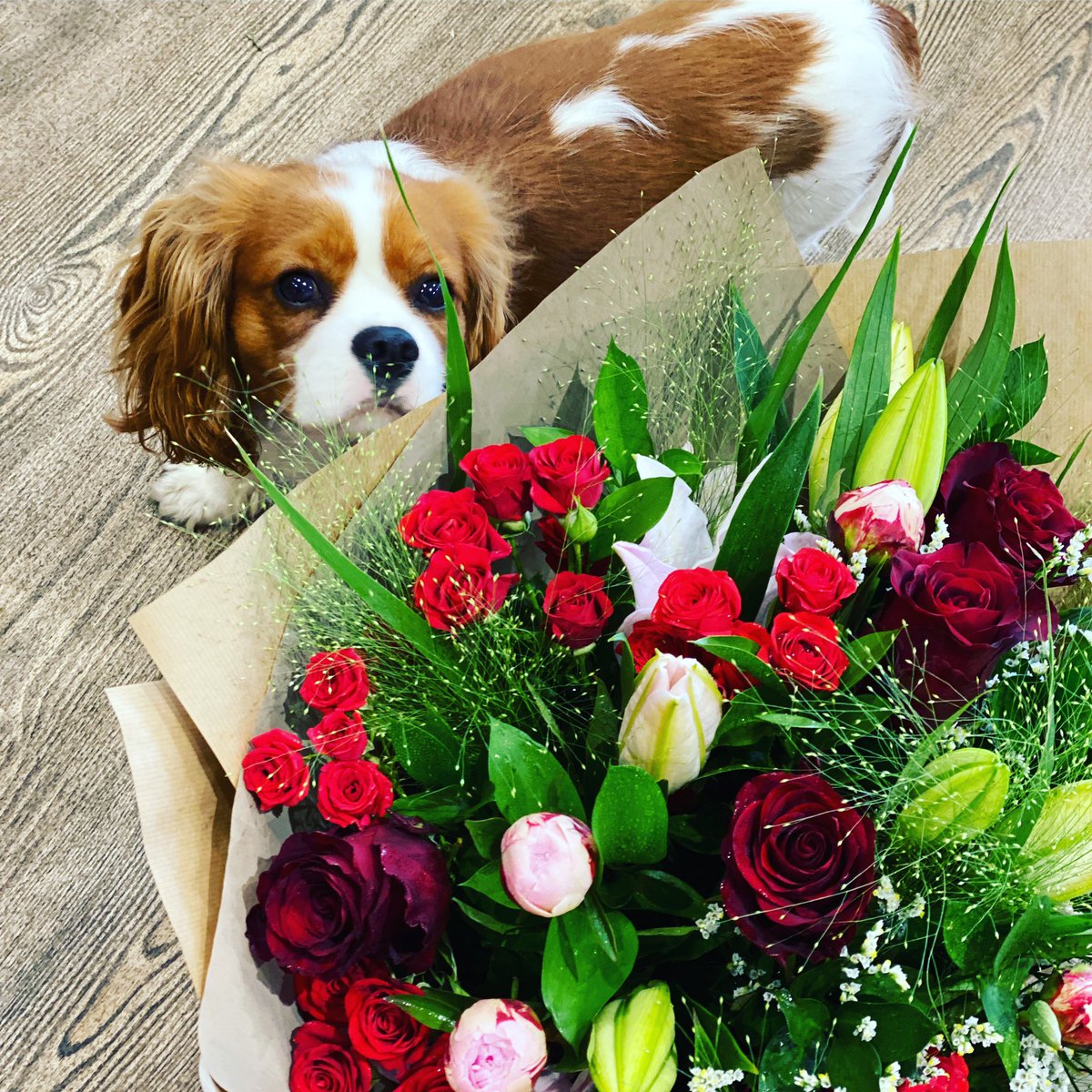 Emma Clarke tweet media