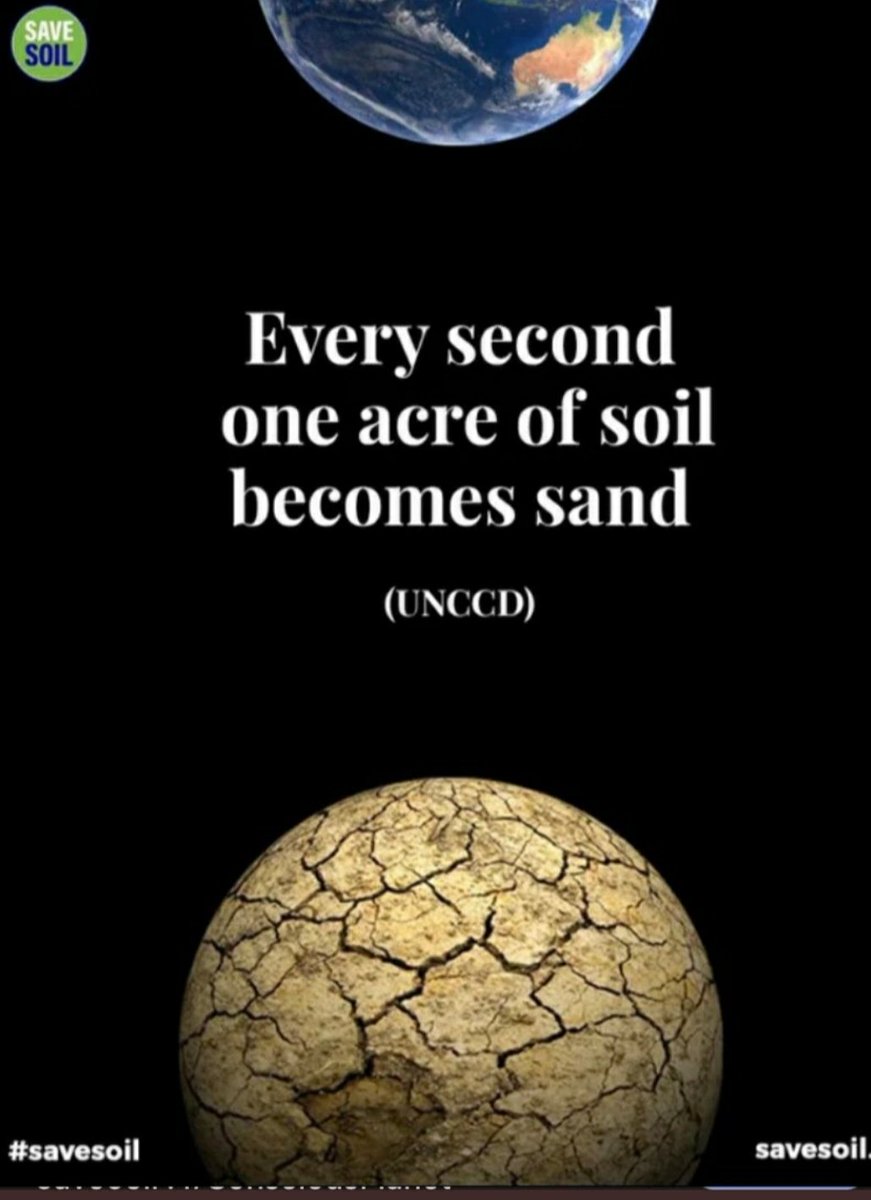 rawat_savesoil's tweet photo. Namaskaram Chitra, @ChitraSarwara,currently we may be anywhere in the world, for work or other reason,yet,the innocent bond of #MNSS still unites us.Emanating from that spirit of togetherness,I urge you support the noble cause of #SaveSoil. @cpsavesoil https://t.co/NoyHsgsqKb https://t.co/RimfY0YOoX