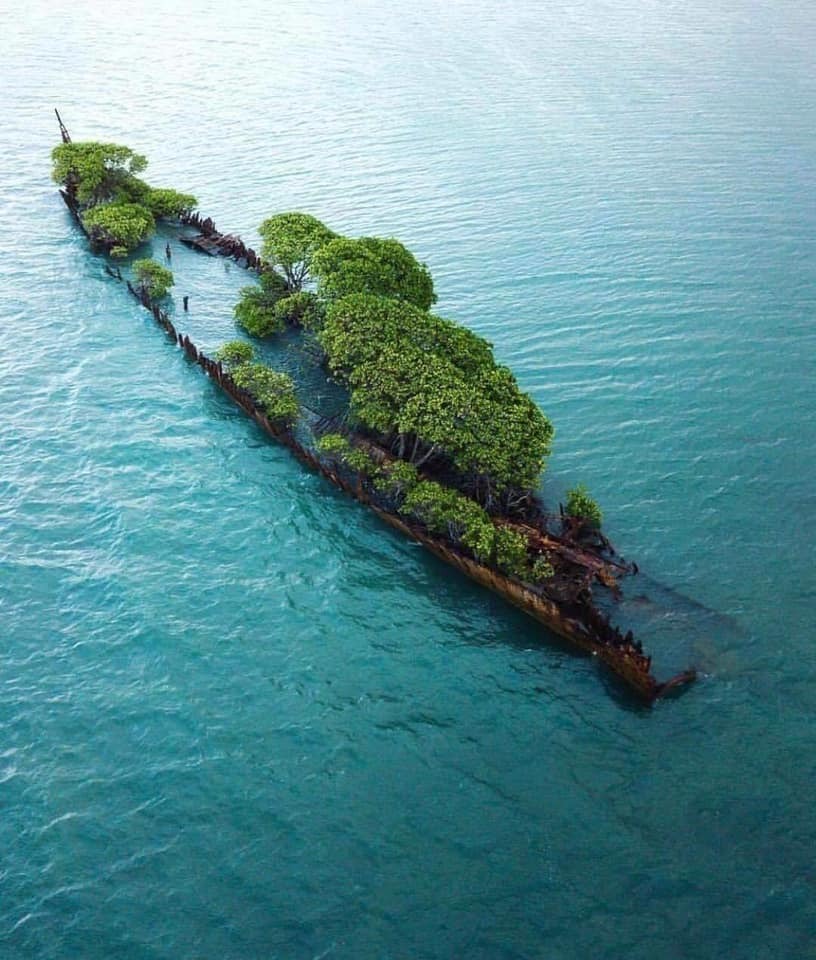barbypada's tweet photo. Η φύση είναι καταπληκτική💙💚
Nature is amazing💚💙
#NaturePhotography #loveit https://t.co/luDnmjRPTp