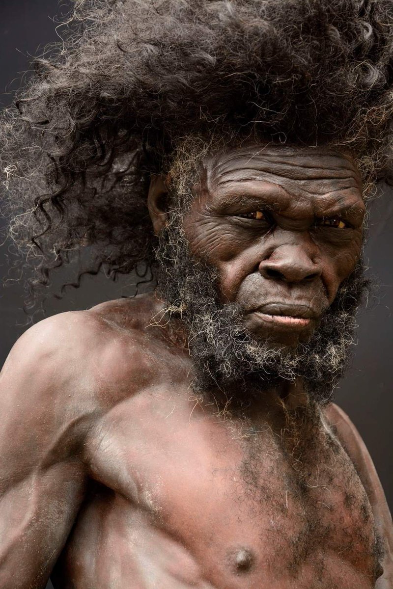 What the earliest modern humans likely looked like 160,000 years ago.
Courtesy of Moesgaard Museum, Denmark
