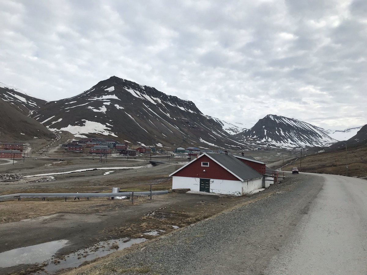 theexploringeye's tweet photo. #Svalbard is truly special. 1200 km from north pole this place is once in a lifetime experience in so many sense.

Read on why we feel so !! #travelblog #Longyearbyen 

@visitsvalbard 

https://t.co/gGgecyu4qq https://t.co/MjU7mzJlEJ