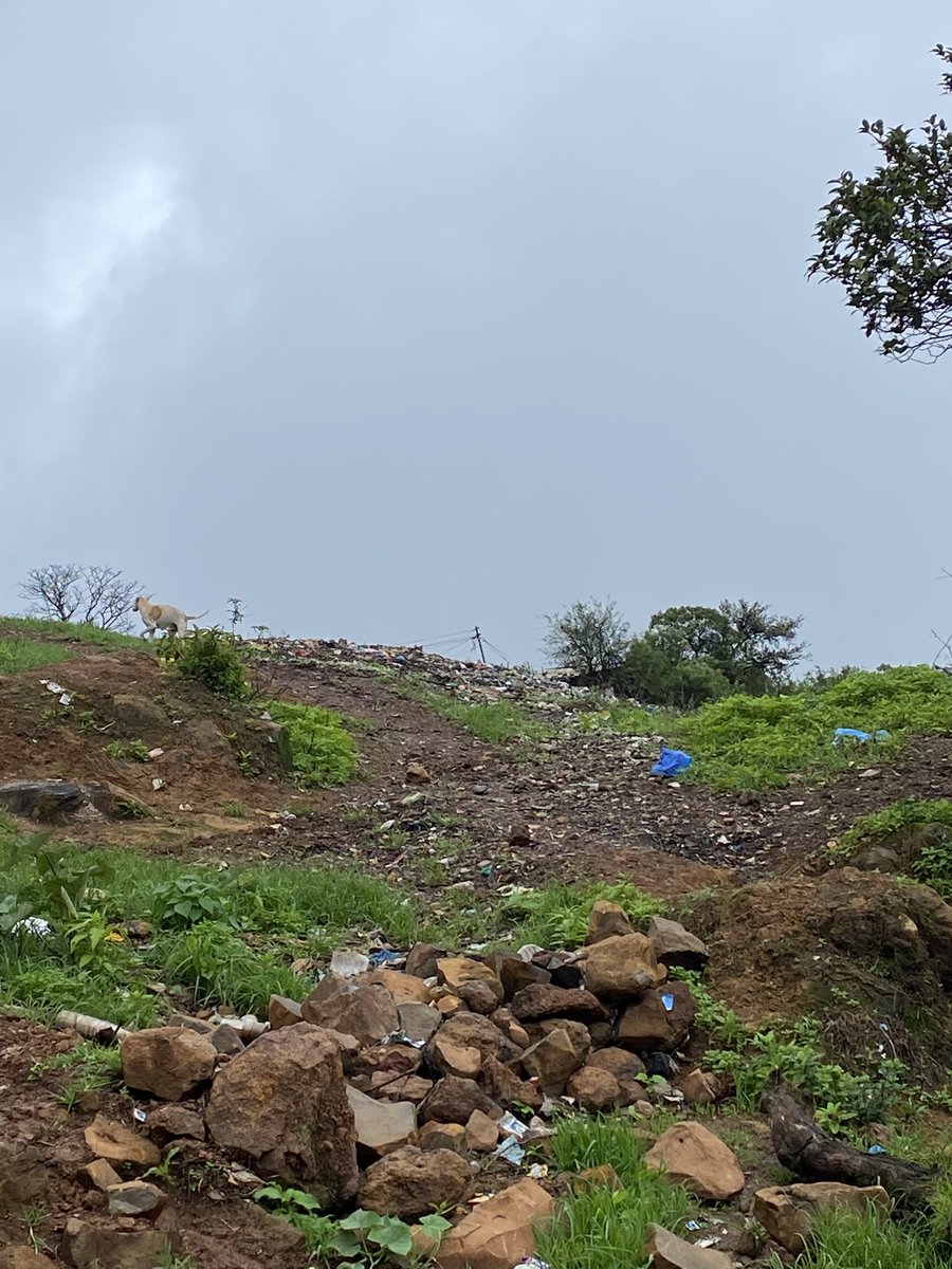 YashPatil_5's tweet photo. सांगायला दुःख वाटतय की आपल्या छत्रपती शिवाजी महाराजांनी आणि त्यांच्या मावळ्यांनी स्वतः च आयुष्य स्वराज्यासाठी,स्वराज्यातील गडकिल्ले यांसाठी व जनतेसाठी समर्पित केले त्याच स्वराज्यातील हा एक किल्ला “विशाळगड” आणि त्याची झालेली ही अतिशय वाईट दुर्दशा.”पावनखिंड” सारख्या मोठ्या लढाईवेळी https://t.co/8Xvqr8xWms