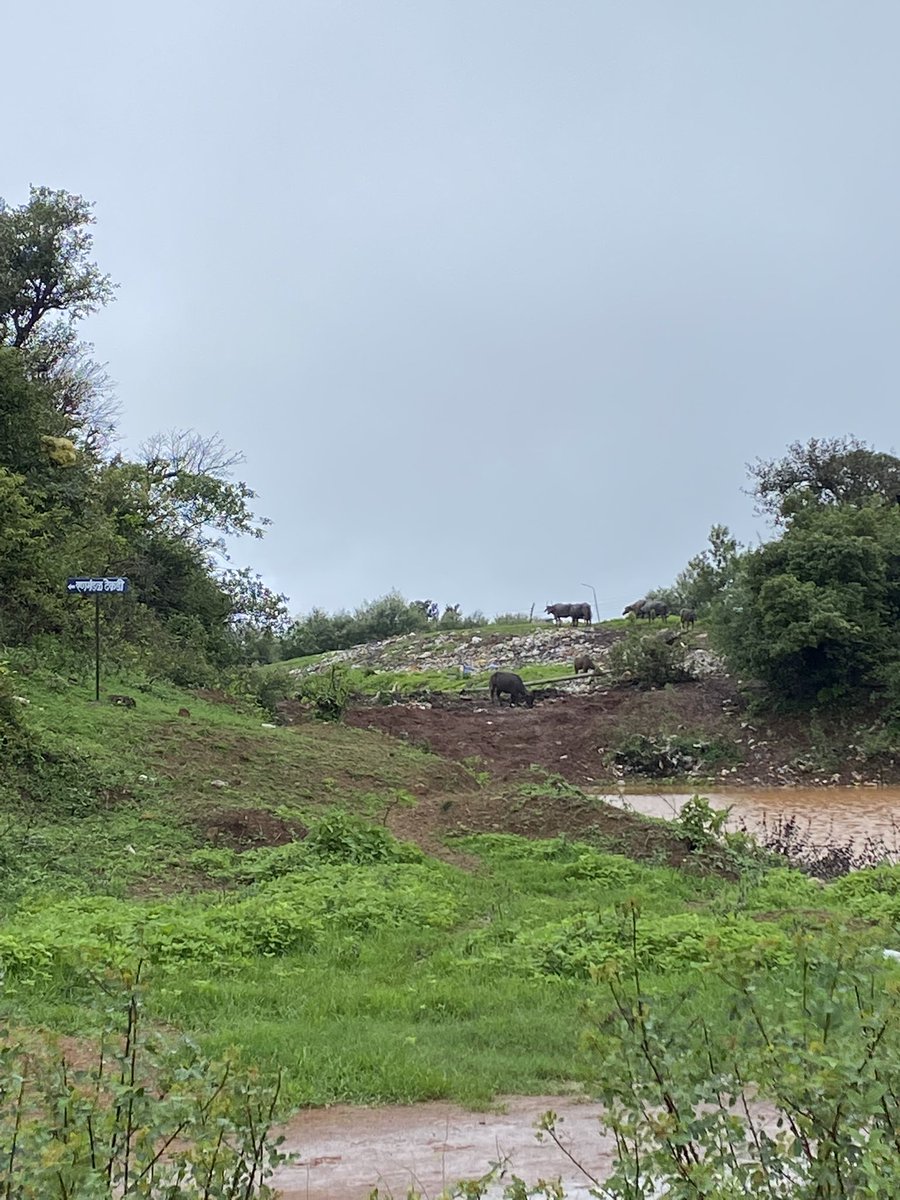 YashPatil_5's tweet photo. सांगायला दुःख वाटतय की आपल्या छत्रपती शिवाजी महाराजांनी आणि त्यांच्या मावळ्यांनी स्वतः च आयुष्य स्वराज्यासाठी,स्वराज्यातील गडकिल्ले यांसाठी व जनतेसाठी समर्पित केले त्याच स्वराज्यातील हा एक किल्ला “विशाळगड” आणि त्याची झालेली ही अतिशय वाईट दुर्दशा.”पावनखिंड” सारख्या मोठ्या लढाईवेळी https://t.co/8Xvqr8xWms