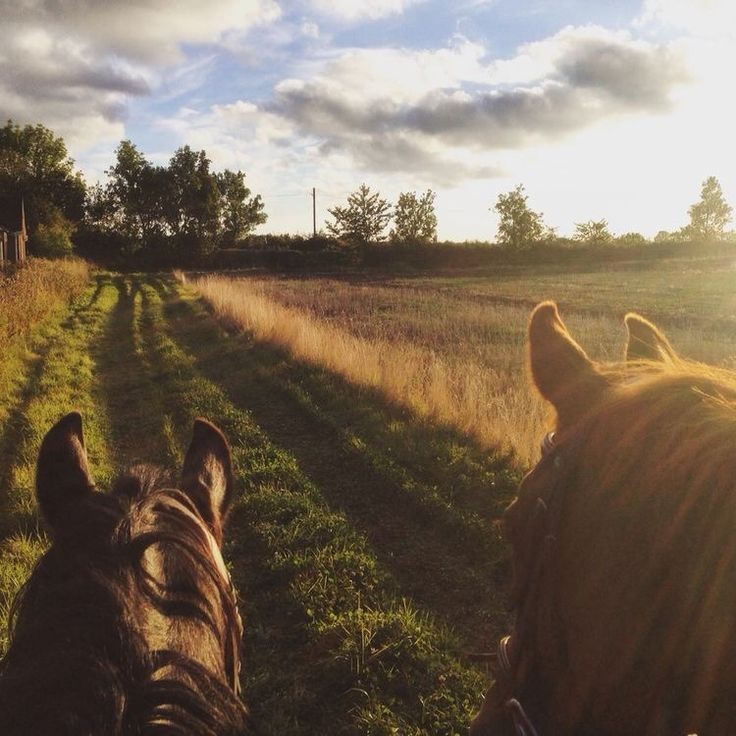 • Güneş bütün insanlara doğar ama ışığı perdesini açanlar görür..