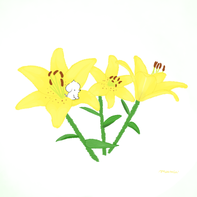マルチーズの妖精むーす きれいなユリを見つけたよ イラスト ゆるいイラスト 1日1絵 T Co Mk1ztvebpm Twitter