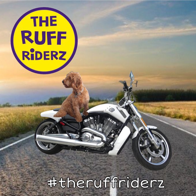 theruffriderz's tweet image. Correction!! @milonames has his bike! #theruffriderz