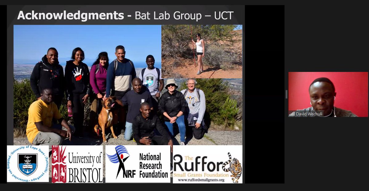 Bats without Borders (@bats_w_borders) on Twitter photo Meet Prof #DavidJacob #UCTBatLab <a href="/ruffordgrants/">Rufford Foundation</a> <a href="/NRF_News/">National Research Foundation of South Africa</a> <a href="/BASElabBristol/">Holderied's BASElab</a> Meet Prof #DavidJacob #UCTBatLab <a href="/ruffordgrants/">Rufford Foundation</a> <a href="/NRF_News/">National Research Foundation of South Africa</a> <a href="/BASElabBristol/">Holderied's BASElab</a>