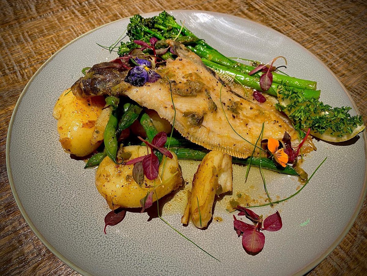 Northern Sole tweet media