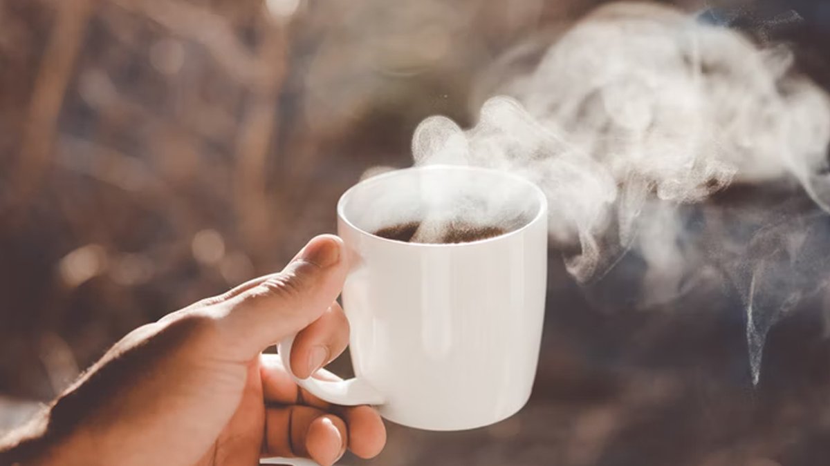 FoxChill4's tweet photo. Morning Coffee ☕ Enjoy Coffee In The Morning Relaxing Playlist | An Indie/Pop/Folk/Acoustic Playlist
Youtube: https://t.co/4IuV4adkc1
#foxchill #music #chill #MorningCoffee https://t.co/oyZiEJzJDo